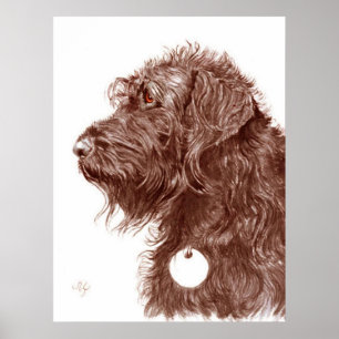 Poster Copie de Labradoodle de chocolat