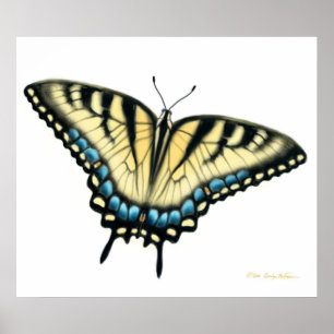 Poster Copie de papillon de machaon de tigre