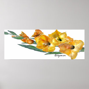 Poster Copie de peinture d'aquarelle de Gladiola