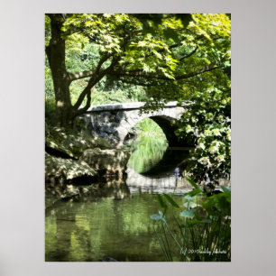 Poster Copie de pont