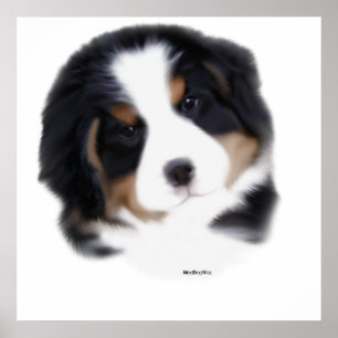 Poster Copie de visage du bébé de MadDog