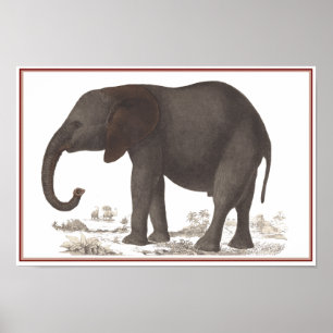 POSTER COPIE D'ÉLÉPHANT