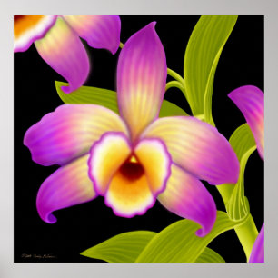 Poster Copie d'orchidée de Nobile de Dendrobium