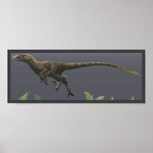 Poster Copie d'Utahraptor