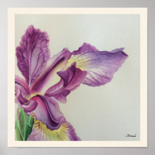 Poster Copie florale d'art d'iris appropriée à la vue de