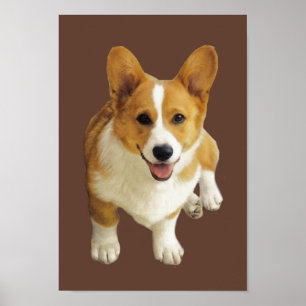 Poster Copie heureuse de corgi de Gallois de Pembroke