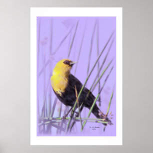 Poster Copie Jaune-Dirigée de merle…