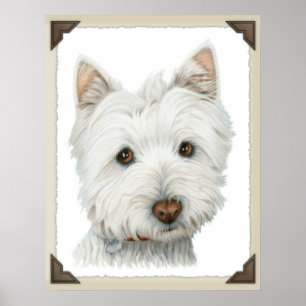 Poster Copie mignonne de chien de Westie
