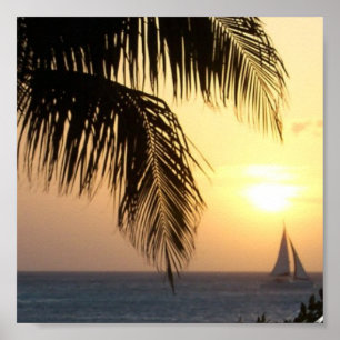 Poster Copie tropicale de voile de coucher du soleil