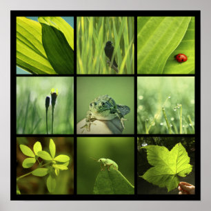 Poster copie verte de photos de la nature 3x3