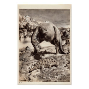 Poster Copie vintage #2 de dinosaure