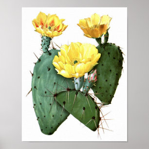 Poster Copie vintage fleurissante d'histoire naturelle du