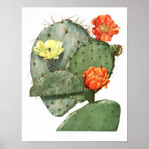 Poster Copie vintage fleurissante d'histoire naturelle du