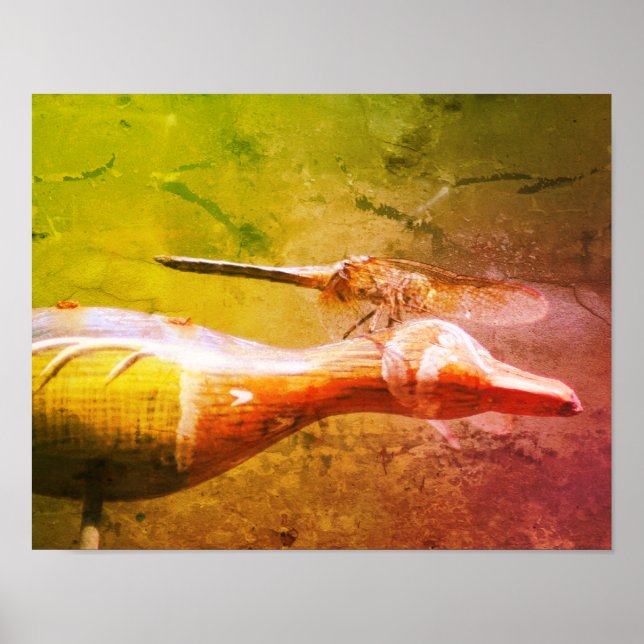 Poster Copilote de dragonfly Insect Grunge Abstrait (Devant)