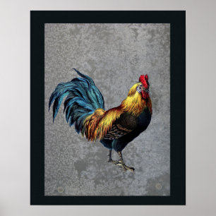 Poster Coq Bantam coloré