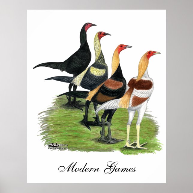 Poster Coq de jeu moderne (Devant)