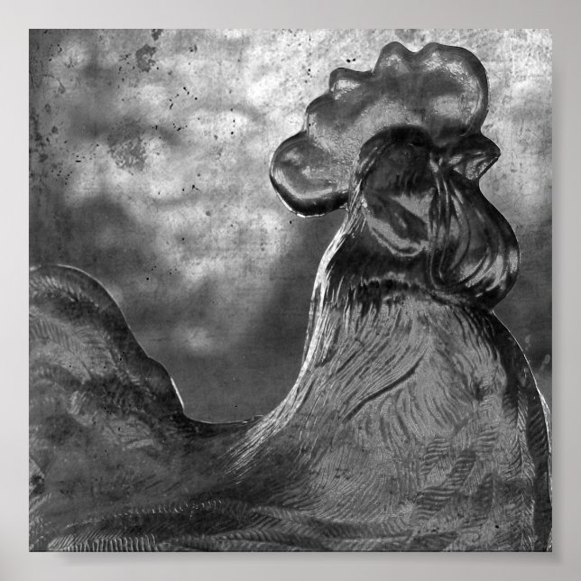 Poster Coq de verre (Devant)