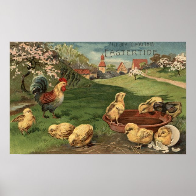 Poster Coq et poussins (Devant)