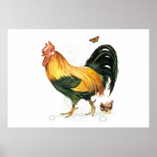 Poster Coq fier avec la poule et les poulets