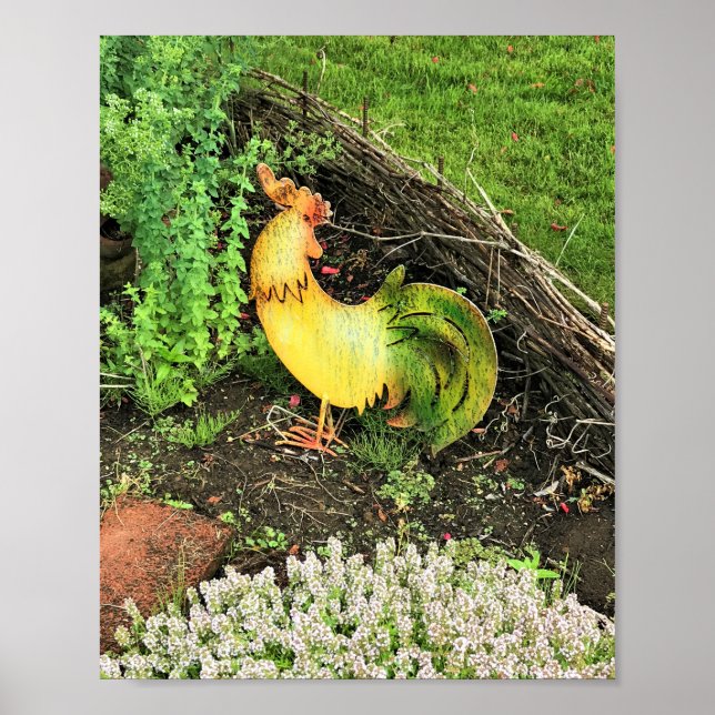 Poster Coq jaune et vert (Devant)