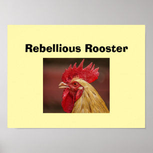 Poster Coq rebelle