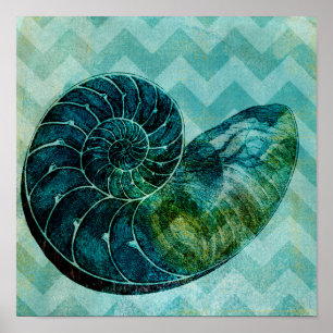 Poster Coque spirale Turquoise