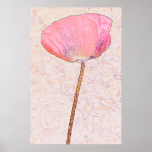 Poster Coquelicot rose bonbon...affiche