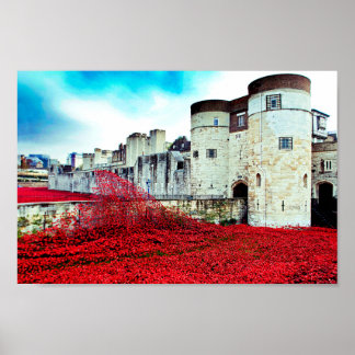 Poster Coquelicots de la Tour de Londres Coquelicot Rouge