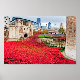 Poster Coquelicots de la Tour de Londres Coquelicot Rouge