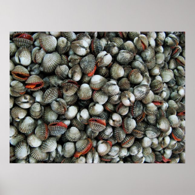 Poster Coques de coques de sang (Devant)