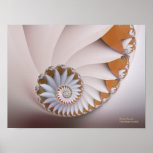 Poster Coquillage Abstrait blanc Nautilus fin fractal