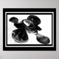 Coquillage noir et blanc Tropical Printable Art