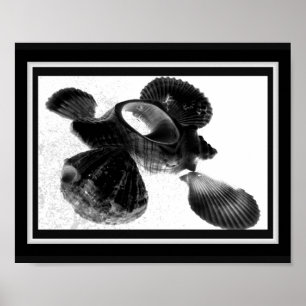 Poster Coquillage noir et blanc Tropical Printable Art