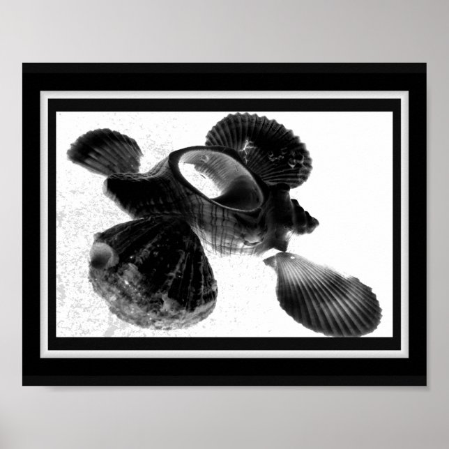 Poster Coquillage noir et blanc Tropical Printable Art (Devant)
