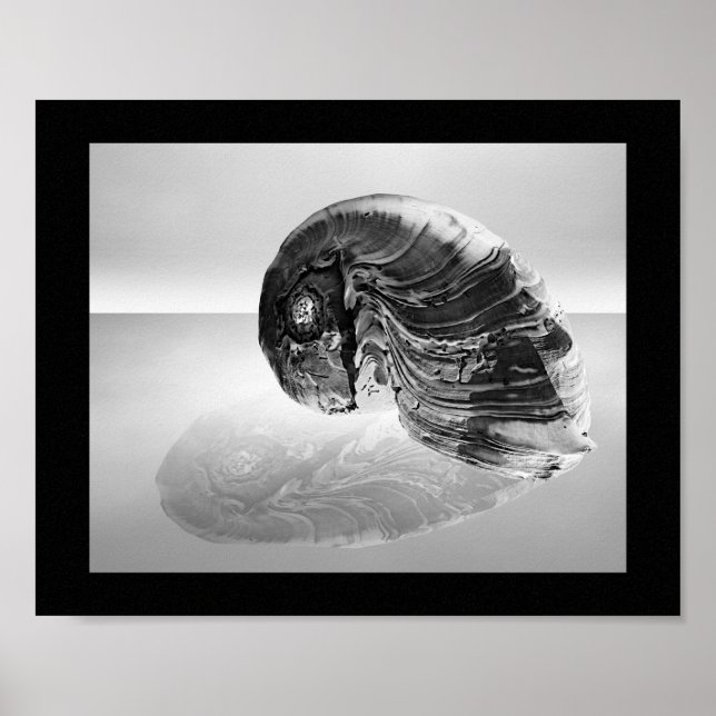 Poster Coquillage noir et blanc Tropical Printable Art (Devant)