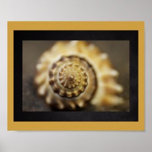 Poster Coquillage noir et or Tropical Printable Art