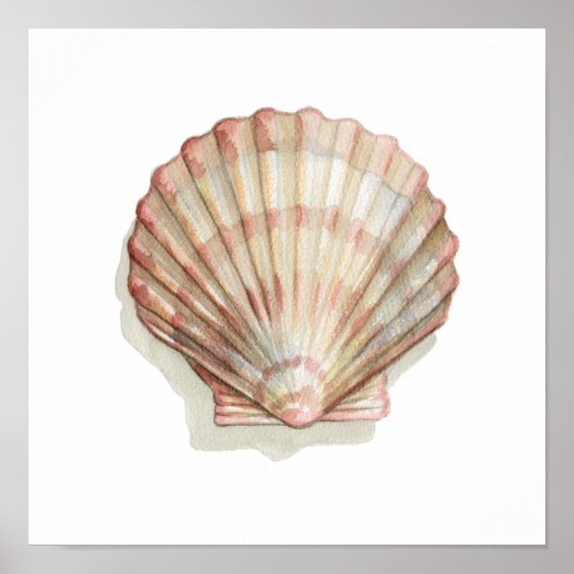 Poster Coquillage rose et crème (Devant)
