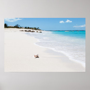 Poster Coquillage sur la plage