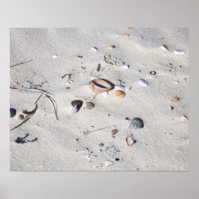 Poster Coquillages dans la couleur de sable 16x20 (Devant)