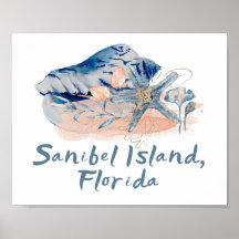 Coquillages de l'île de Sanibel