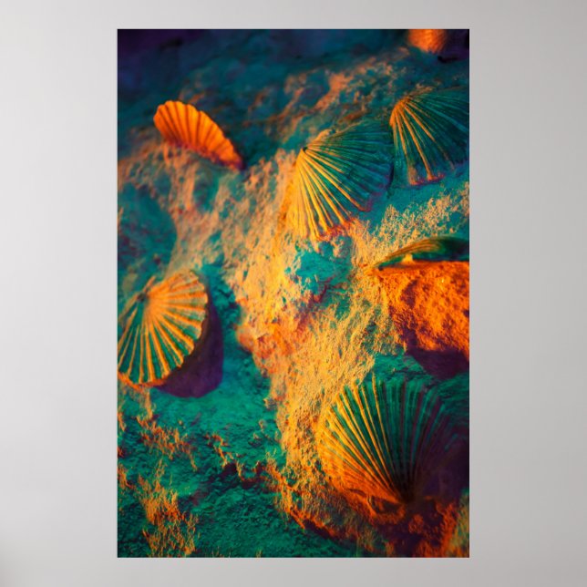 Poster Coquillages et sable (Devant)