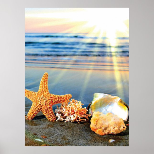 Poster Coquillages marins et étoiles de mer sur la plage (Devant)
