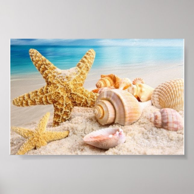 Poster Coquillages sur l'affiche de la plage (Devant)