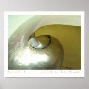 Poster Coquille #4