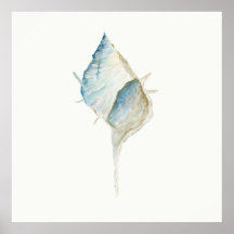 Coquille aquarelle