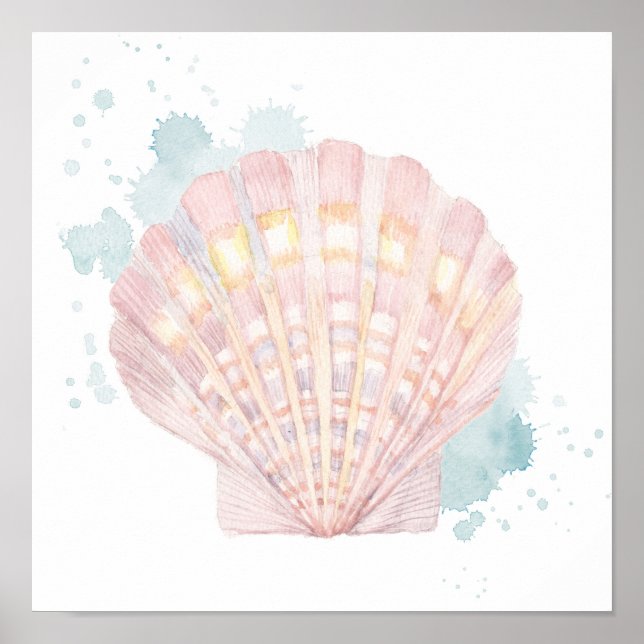 Poster Coquille côtière du Salento (Devant)