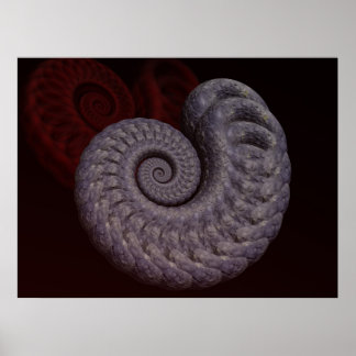 Poster Coquille d'ammonite