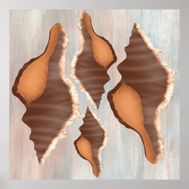 Poster Coquille de conque d'aquarelle (Devant)