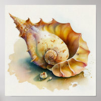 Coquille de conque Haliotis en aquarelle