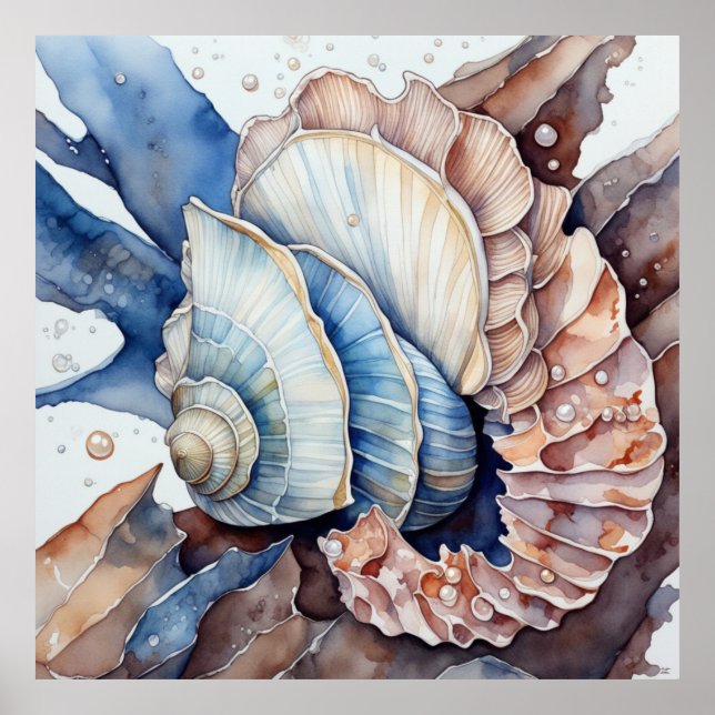 Poster Coquille de conque rouge et bleu (Devant)